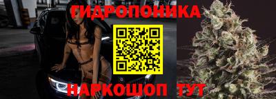 мдпв Пушкино