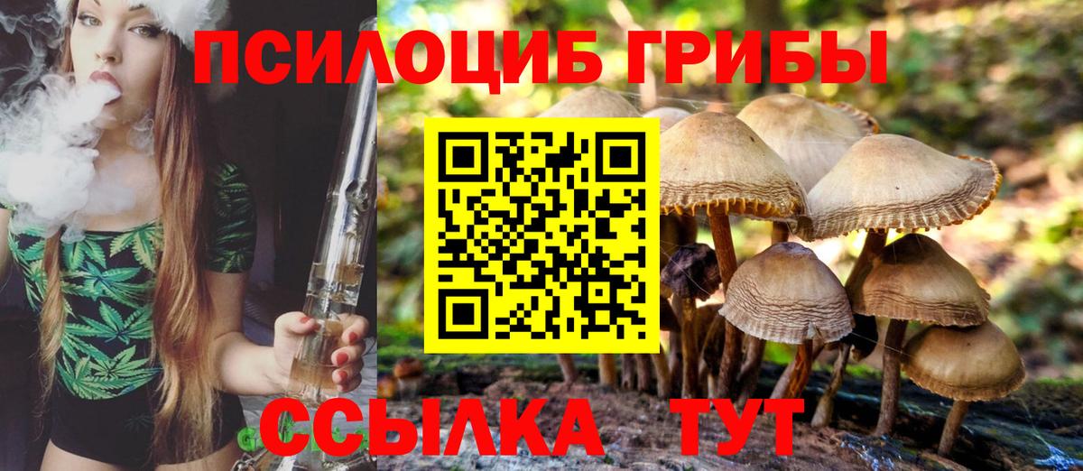 Псилоцибиновые грибы MAGIC MUSHROOMS  продажа наркотиков  Вход с VPN  Тара  Галлюциногенные грибы MAGIC MUSHROOMS 