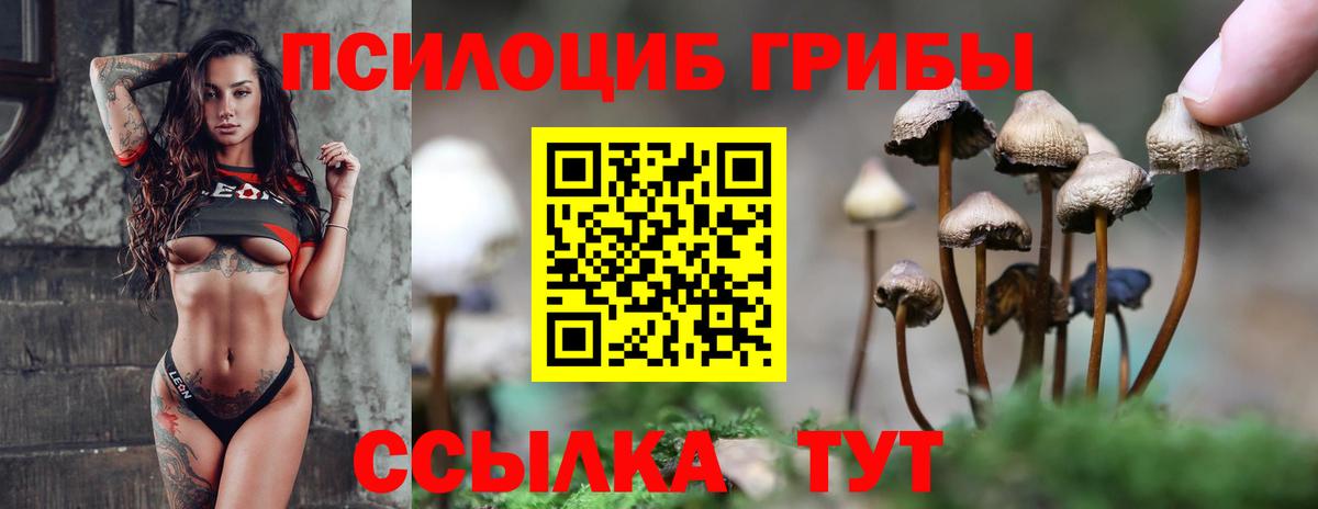 Галлюциногенные грибы Psilocybine cubensis Тара